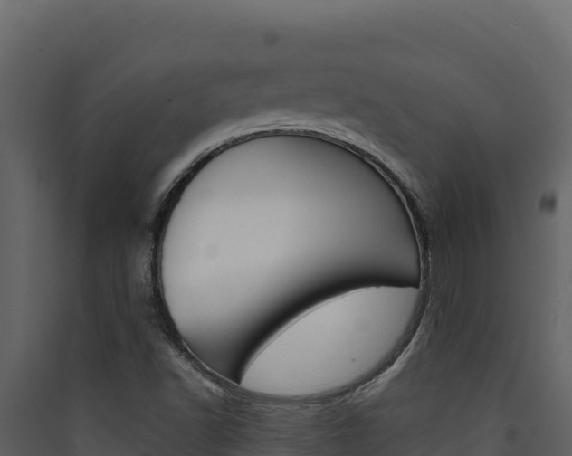 X0000090431502200707130957