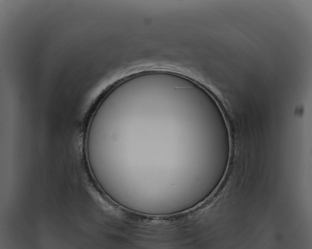 X0000090431503200707130957