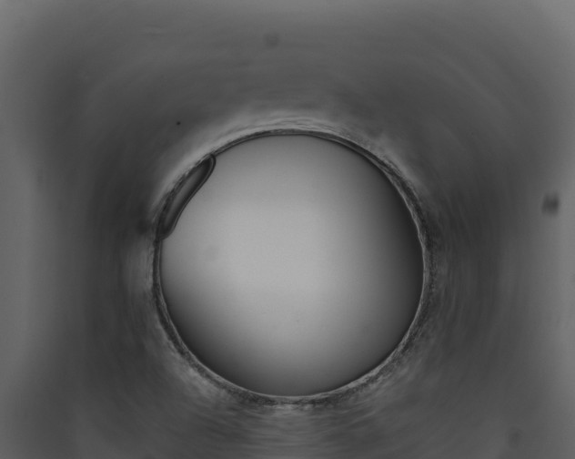 X0000090431504200707130957