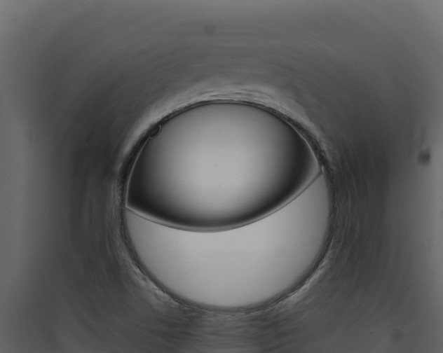 X0000090431506200707130957