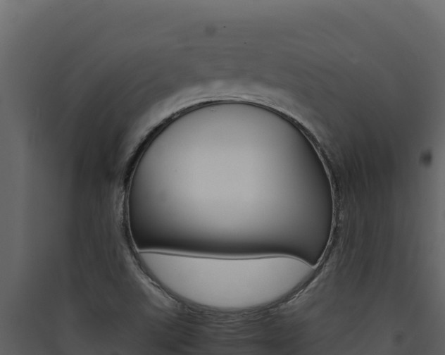 X0000090431507200707130957