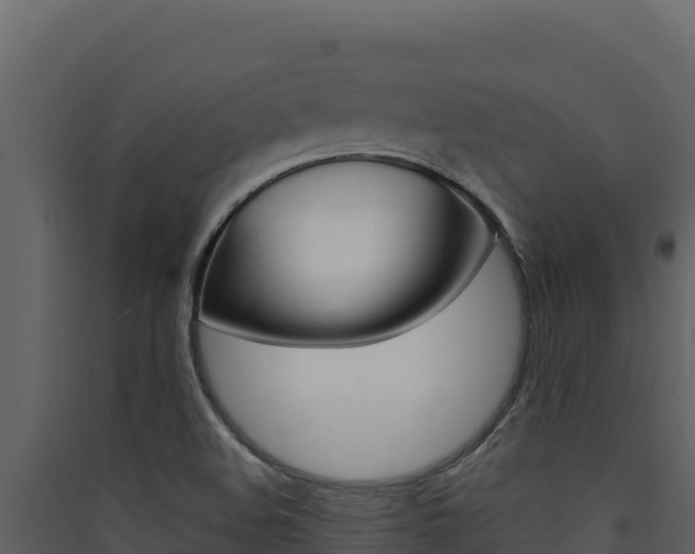 X0000090431508200707130957