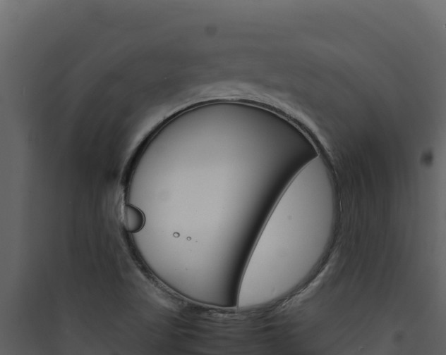 X0000090431509200707130957