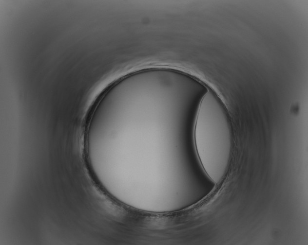 X0000090431511200707130957