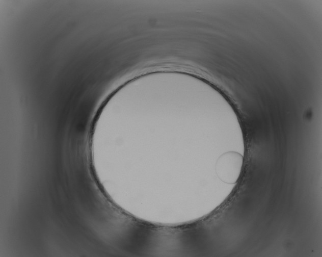 X0000090431514200707130957