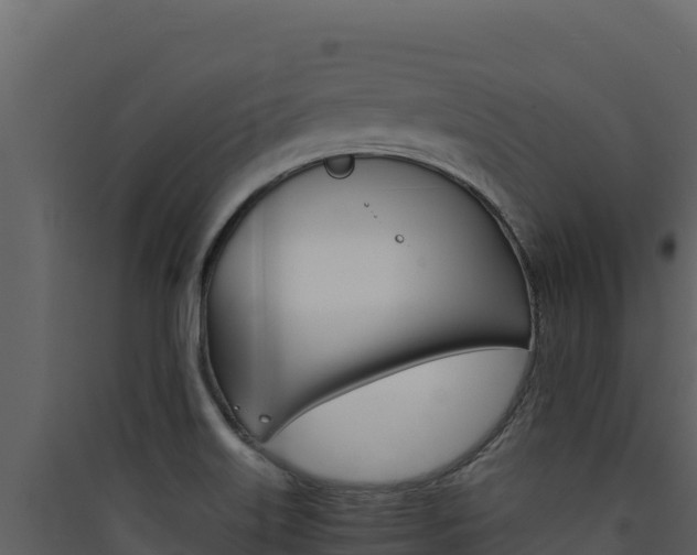 X0000090431515200707130957