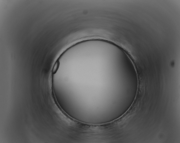 X0000090431516200707130957
