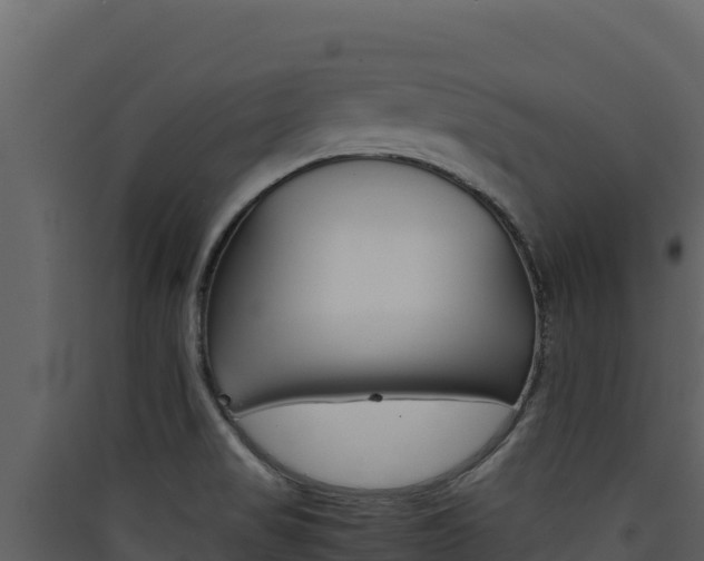 X0000090431517200707130957