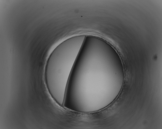 X0000090431520200707130957