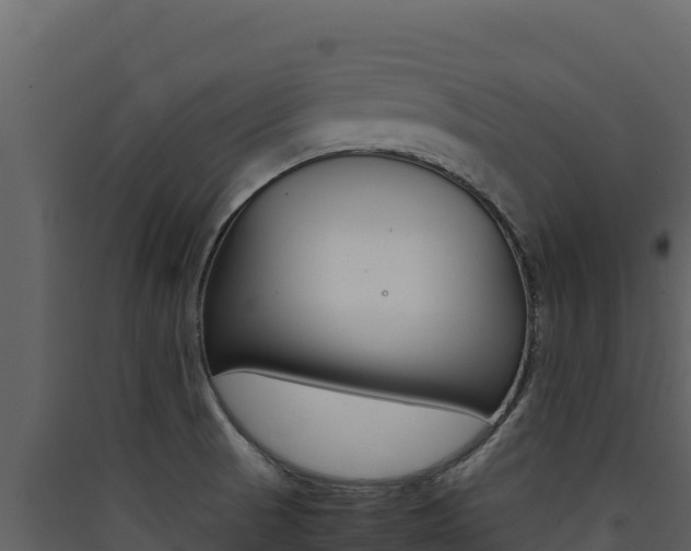 X0000090431521200707130957