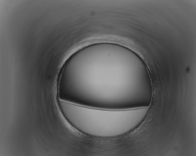 X0000090431523200707130957