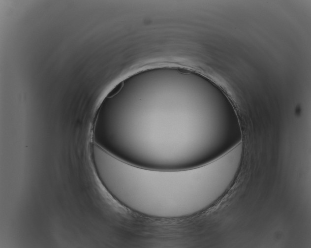 X0000090431524200707130957