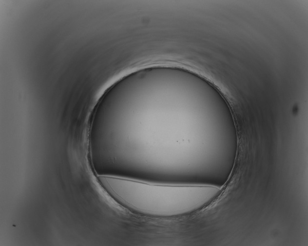 X0000090431526200707130957