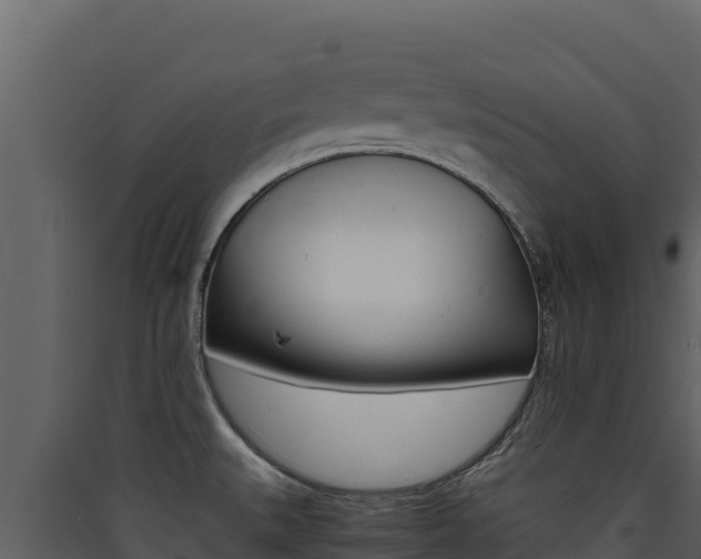 X0000090431527200707130957