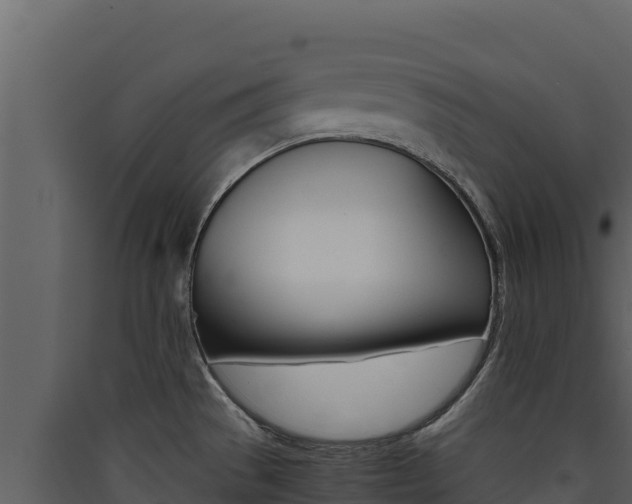 X0000090431529200707130957
