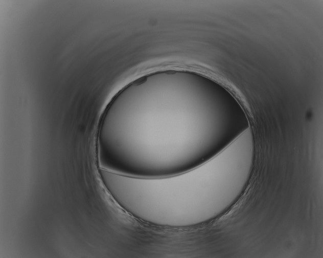 X0000090431530200707130957