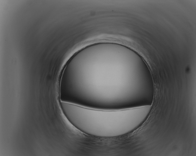 X0000090431531200707130957