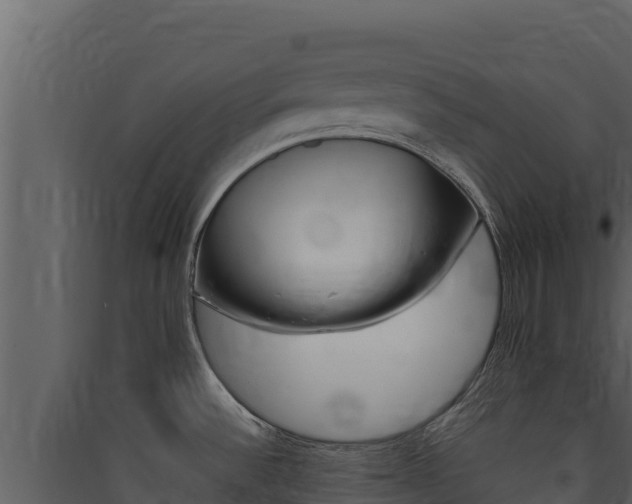 X0000090431532200707130957