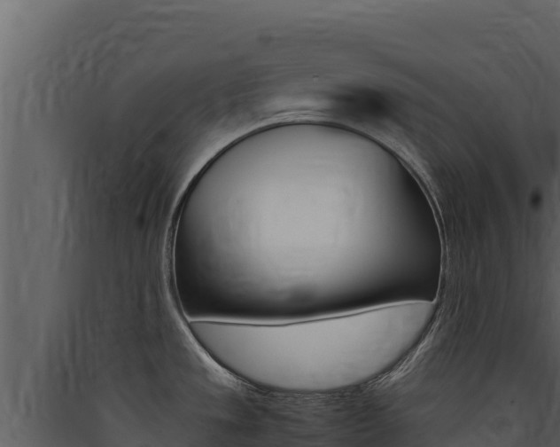 X0000090431533200707130957