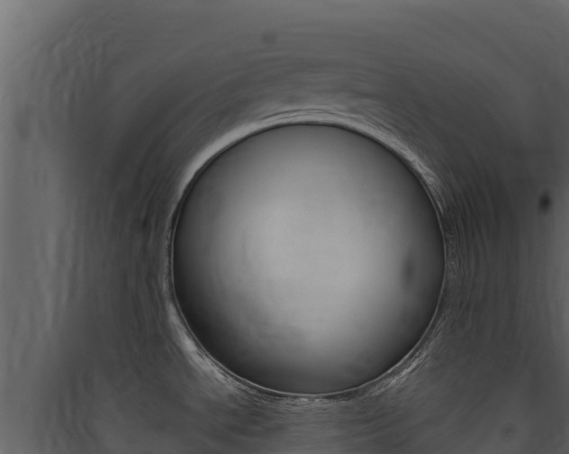 X0000090431534200707130957