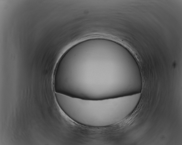 X0000090431535200707130957
