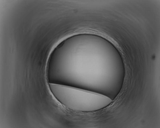 X0000090431536200707130957