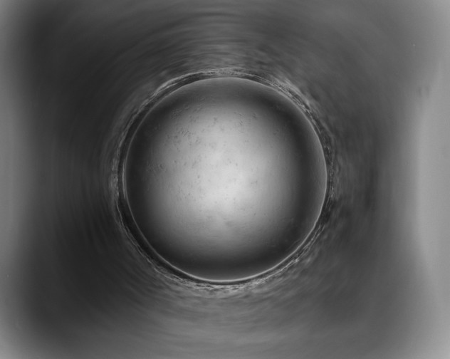X0000090430002200707131210