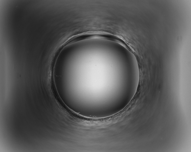 X0000090430005200707131210