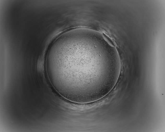 X0000090430006200707131210