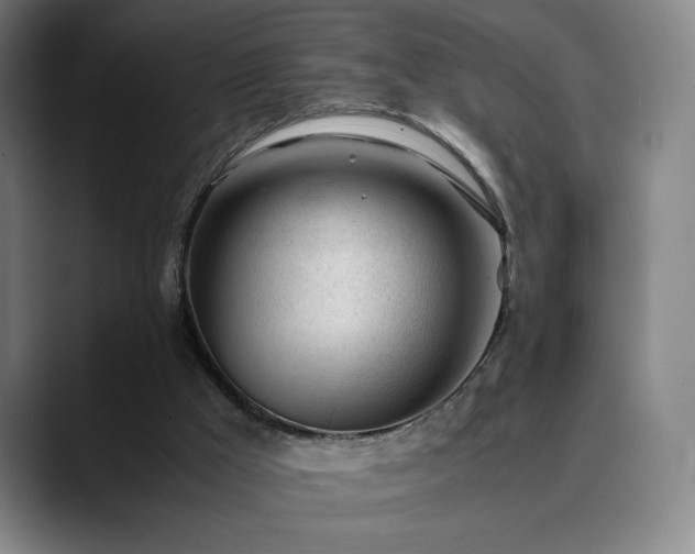 X0000090430009200707131210