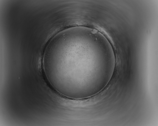 X0000090430010200707131209