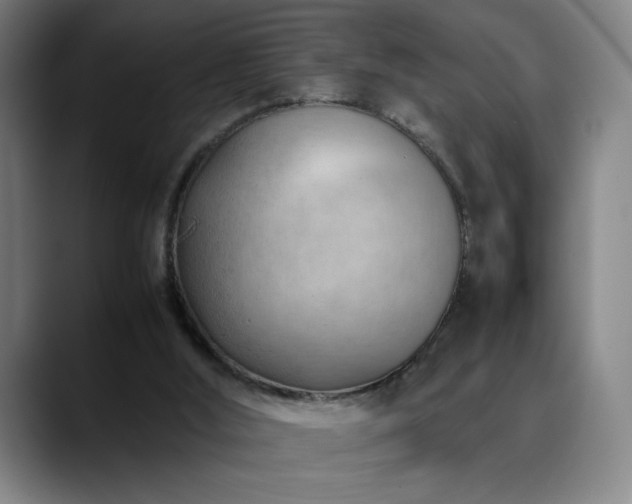 X0000090430012200707131209