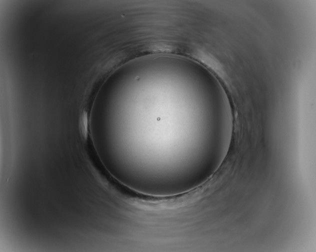 X0000090430013200707131209