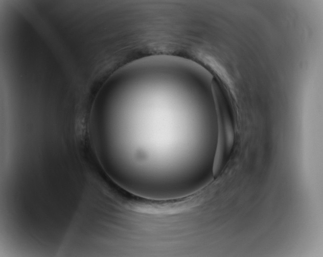 X0000090430017200707131209