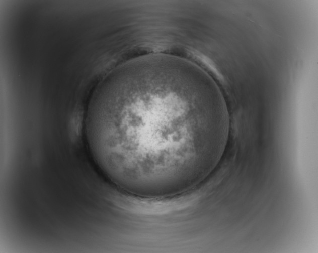 X0000090430018200707131209