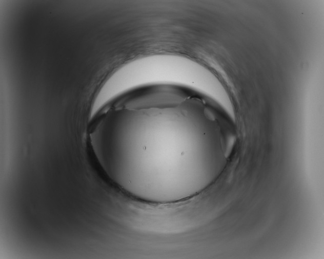 X0000090430019200707131209