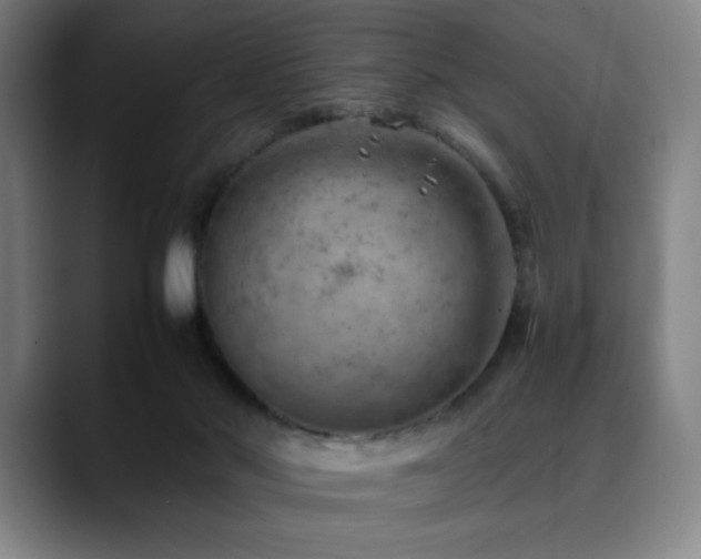 X0000090430022200707131209