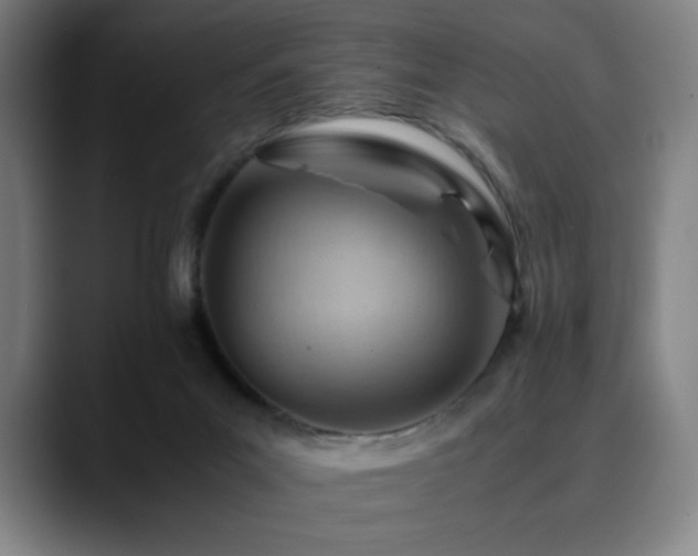 X0000090430023200707131209