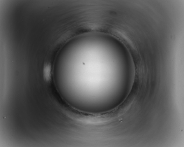 X0000090430024200707131209