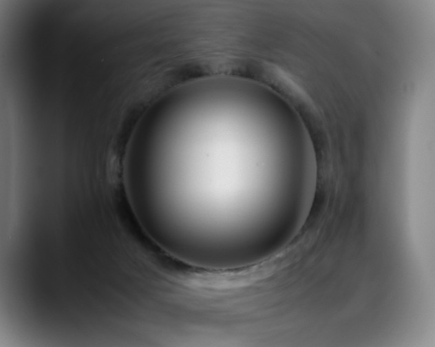 X0000090430025200707131209