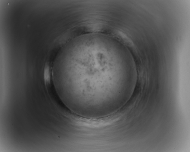 X0000090430026200707131209