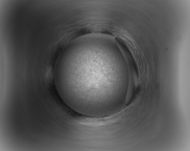 X0000090430029200707131209