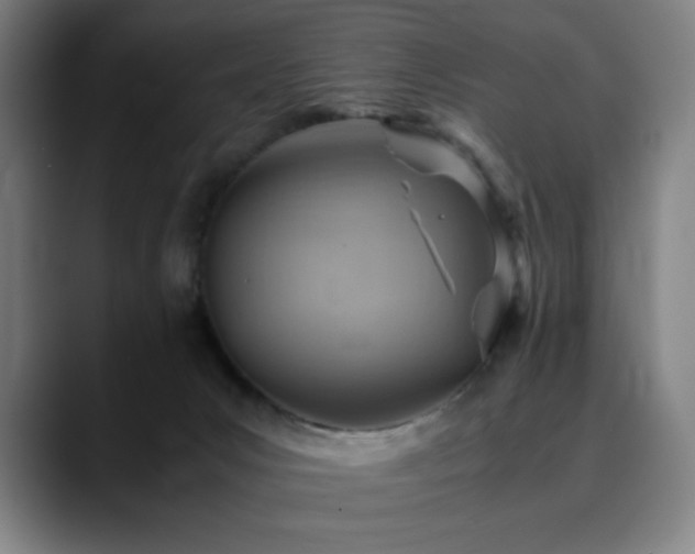 X0000090430031200707131209