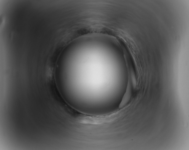 X0000090430033200707131209