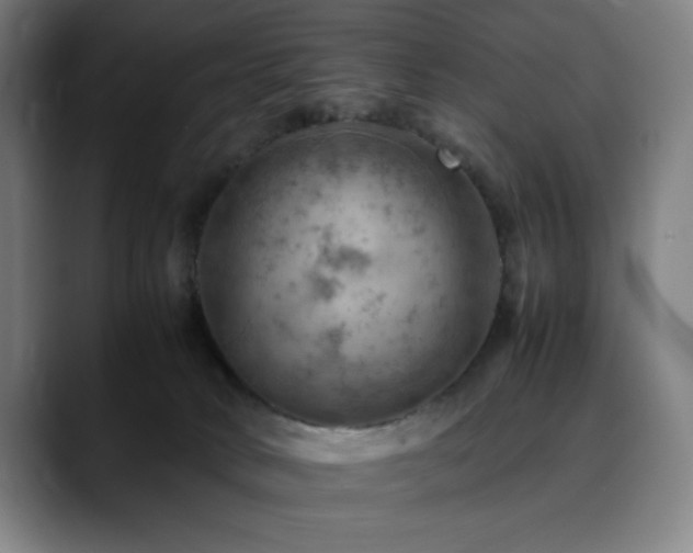 X0000090430034200707131209