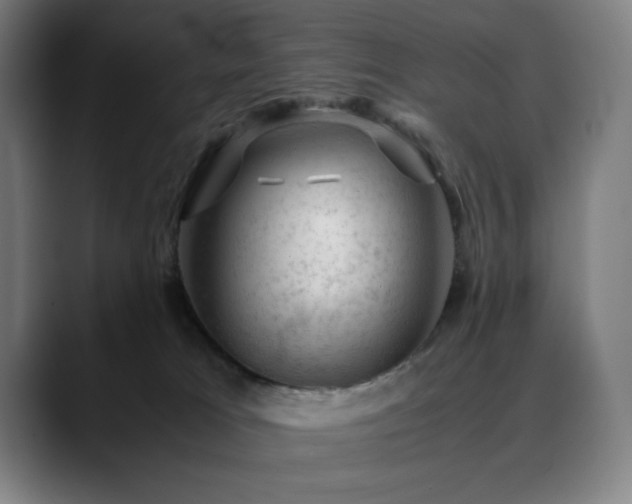 X0000090430037200707131209