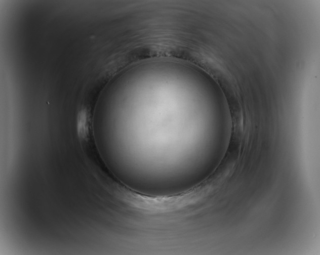 X0000090430038200707131209