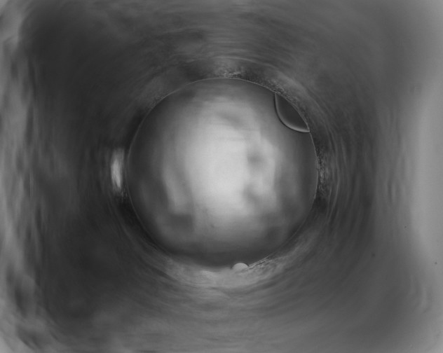 X0000090430046200707131209