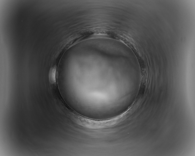 X0000090430047200707131209