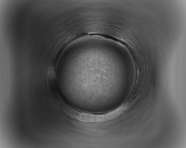 X0000090430048200707131209